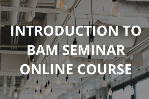 IBAM SEMINAR – ONLINE